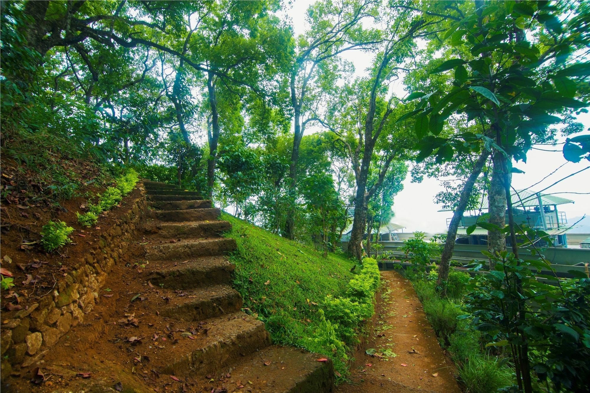 Forest Glade Resorts Chithirapuram Ngoại thất bức ảnh