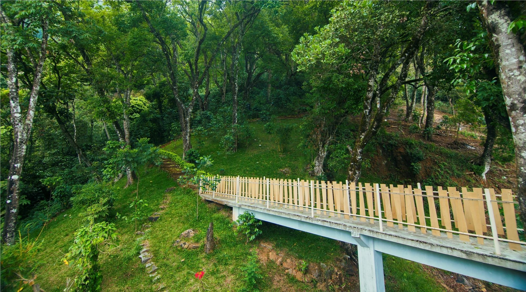Forest Glade Resorts Chithirapuram Ngoại thất bức ảnh